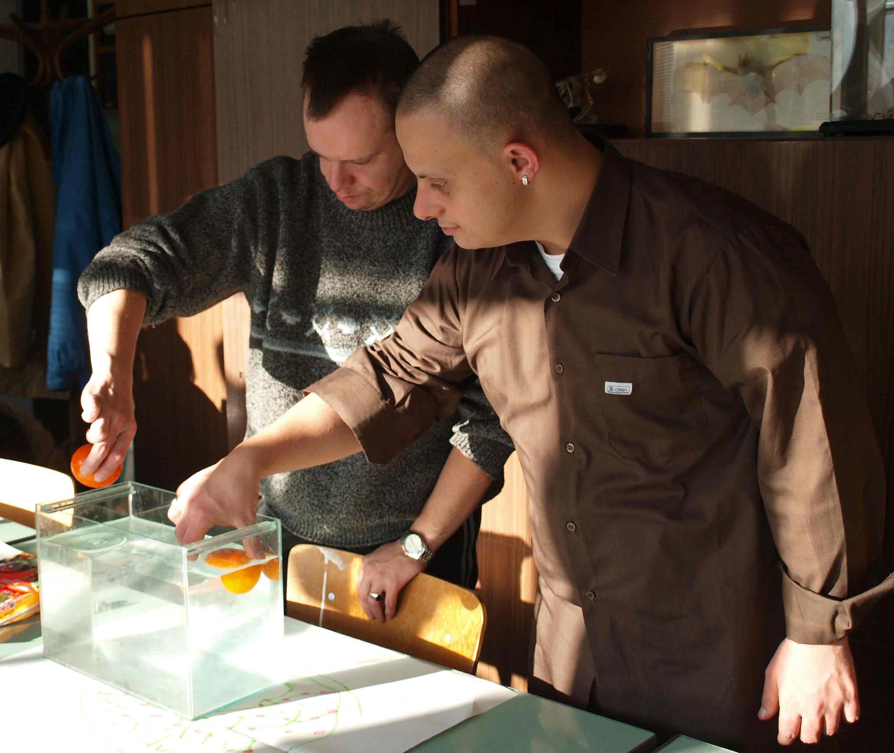 Two students submerging tangerines in a tank of water.