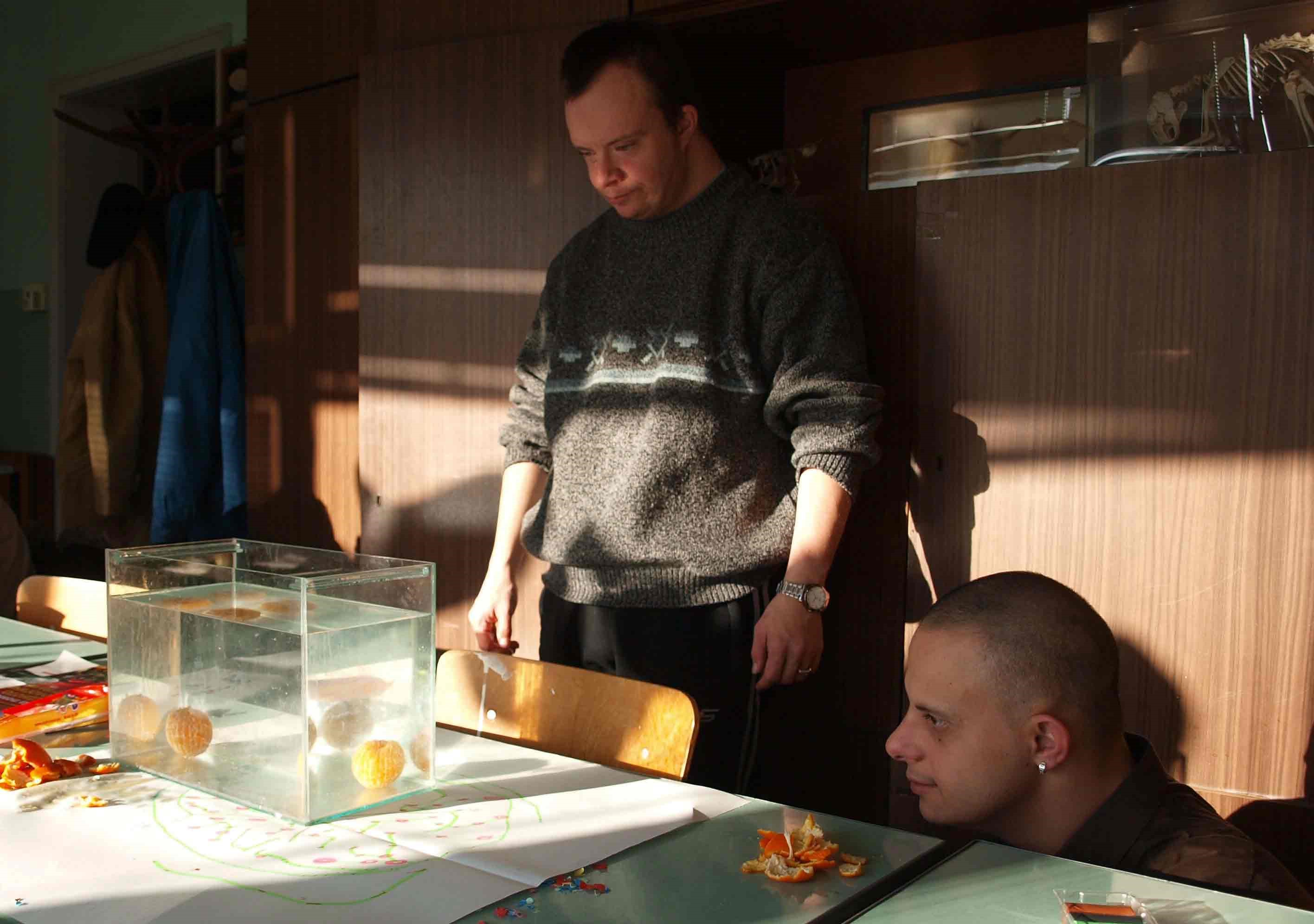 Students looking at peeled tangerines submerged in a tank of water.