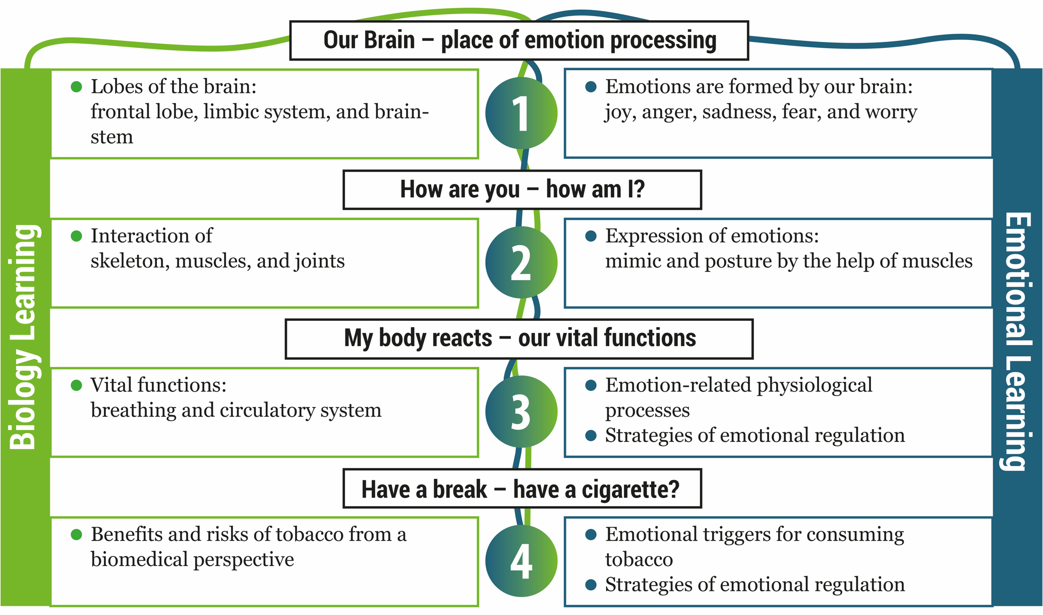 A diagram with 4 layers, each numbered: 1, our brain - place of emotion processing, 2, how are you - how am I? 3, my body reacts - our vital functions, 4, have a break - have a cigarette? on each layer, further explanation on left and right, on left, biology learning, on right, emotional learning.
