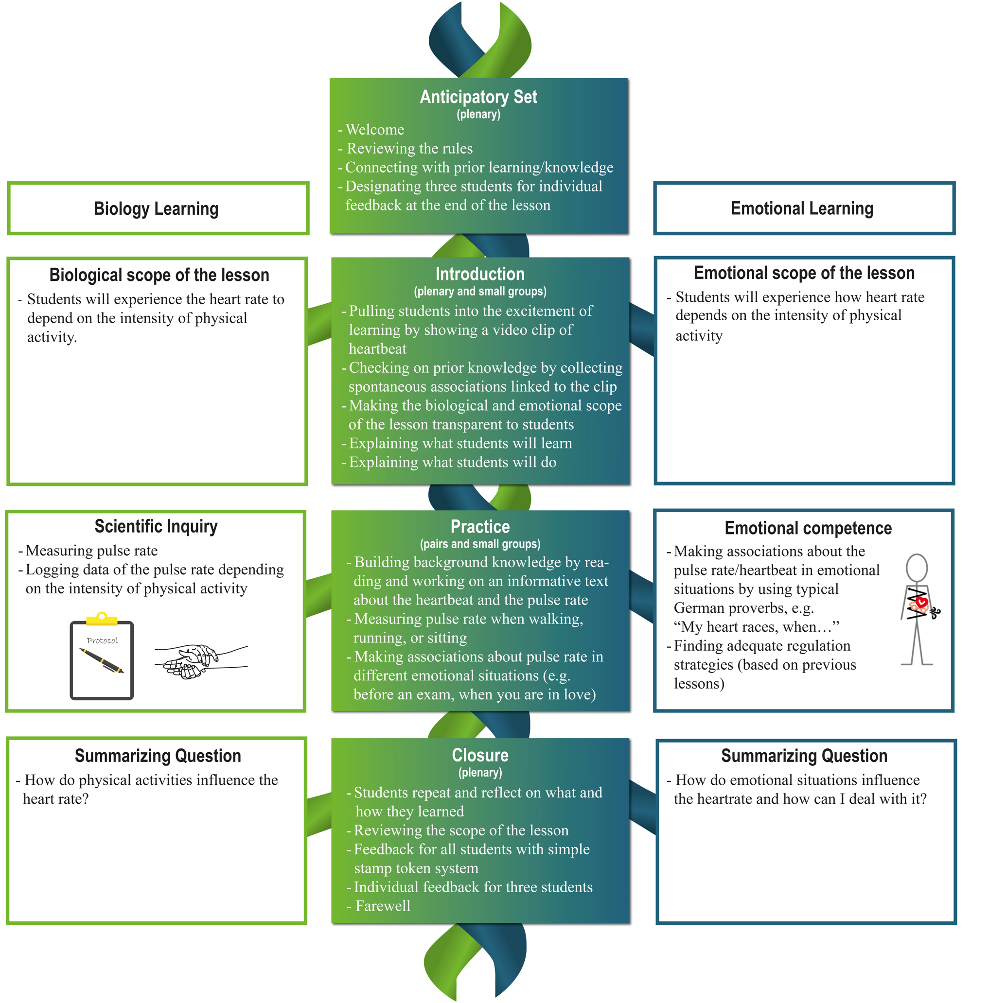 A diagram with four layers and 3 columns, in the middle from the top, 'Anticipatory Set', 'Introduction', 'Practice', 'Closure'. Each part has a small explanation. On left and right, biology learning and emotioal learning, with boxes on each layer with extra text.