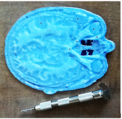 A 3D print of a transverse section of a human head with multiple small holes, next to a small drill. 