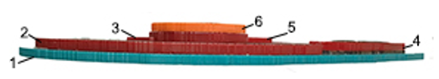 A side view of the stratographic diagram of the transverse section of human right shoulder.