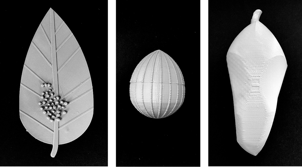 Gray 3d printed objects, from left to right: A leaf with butterfly eggs on top, a monarch egg, and a chrysalis.