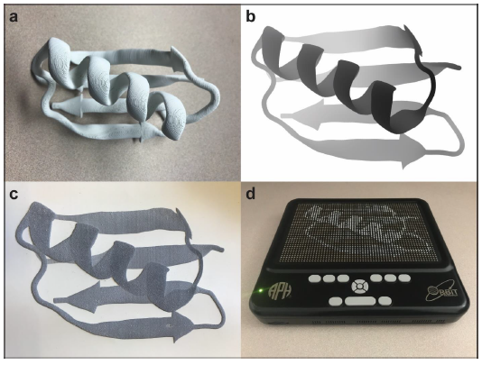 Four pictures for visualization of protein structures, in order: a 3-d printed model, a computer rendering, a variable-height tactile graphic printed using Picture In A Flash machine, a variable-height tactile visualization using VMD with TactViz on the Graphiti electronic refreshable tactile graphics display